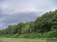 DSCF1661.jpg
