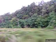 DSCF1671.jpg