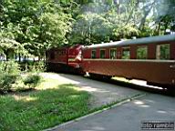 DSCF2959.jpg