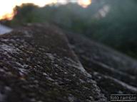 DSCF3360.jpg
