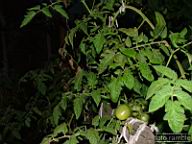 DSCF3371.jpg