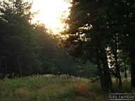 DSCF3742.jpg