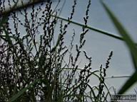 DSCF3789.jpg