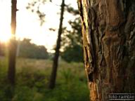 DSCF3817.jpg