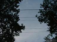DSCF3827.jpg