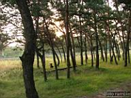 DSCF3856.jpg