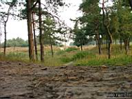 DSCF3858.jpg