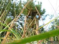 DSCF3872.jpg