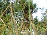 DSCF3873.jpg