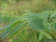 DSCF3890.jpg