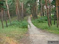 DSCF3980.jpg