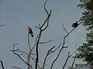 DSCF4034.jpg