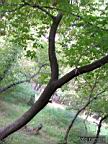 DSCF4128.jpg