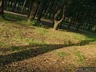 DSCF4158.jpg