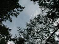 DSCF4273.jpg