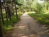 DSCF4436.jpg