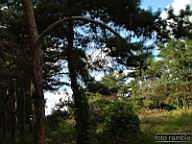 DSCF4437.jpg