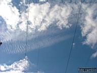 DSCF4439.jpg