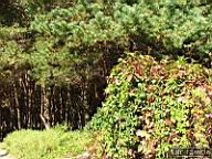 DSCF4447.jpg