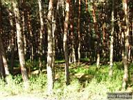 DSCF4450.jpg