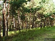DSCF4455.jpg