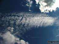 DSCF4461.jpg