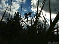 DSCF4601.jpg