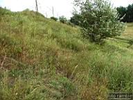 DSCF4603.jpg