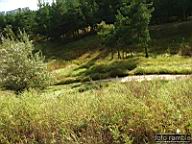 DSCF4609.jpg