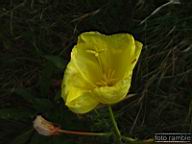 DSCF4640.jpg
