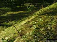 DSCF4695.jpg