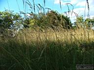 DSCF4722.jpg