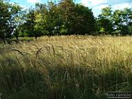 DSCF4723.jpg