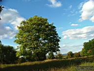 DSCF4764.jpg