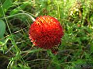 DSCF4773.jpg