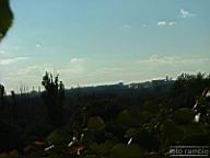 DSCF4837.jpg