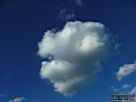 DSCF4841.jpg