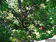 DSCF4843.jpg