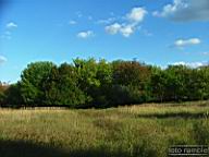 DSCF4845.jpg