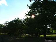 DSCF4847.jpg