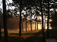 DSCF5163_1.jpg