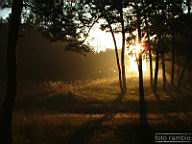 DSCF5174.jpg