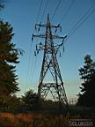 DSCF5176.jpg