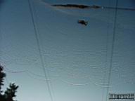DSCF5206.jpg