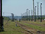 DSCF5670.jpg