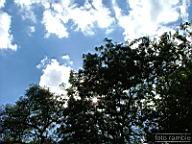 DSCF5736.jpg