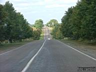 DSCF5770.jpg
