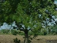 DSCF5823.jpg