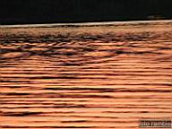 DSCF6146.jpg