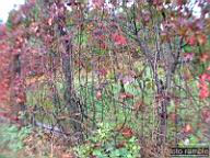 DSCF6815.jpg